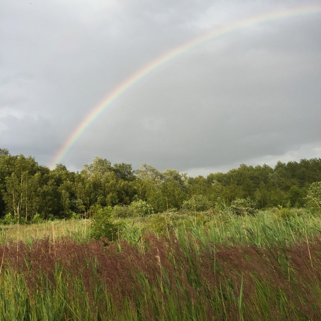 Blog1_regenboog